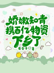 娇嫩知青携百亿物资下乡了